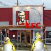 KFC rmtb_kfc.jpg