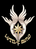 littlewing_logo.png