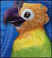 Pal Rappy