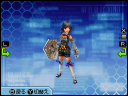 Hylian Shield